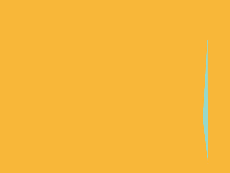 ペットの誕生日の祝い方【和歌山県】#38