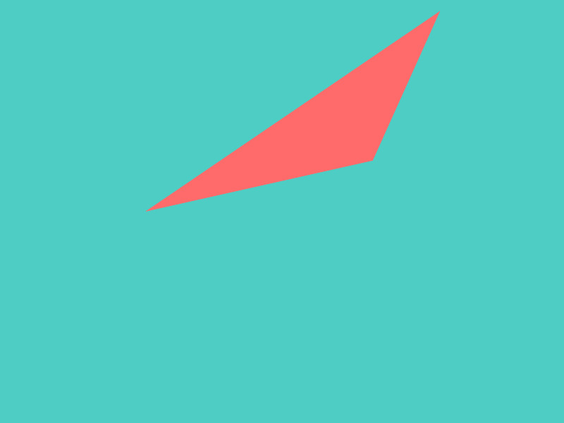 ペットの誕生日の祝い方【大阪府】#18