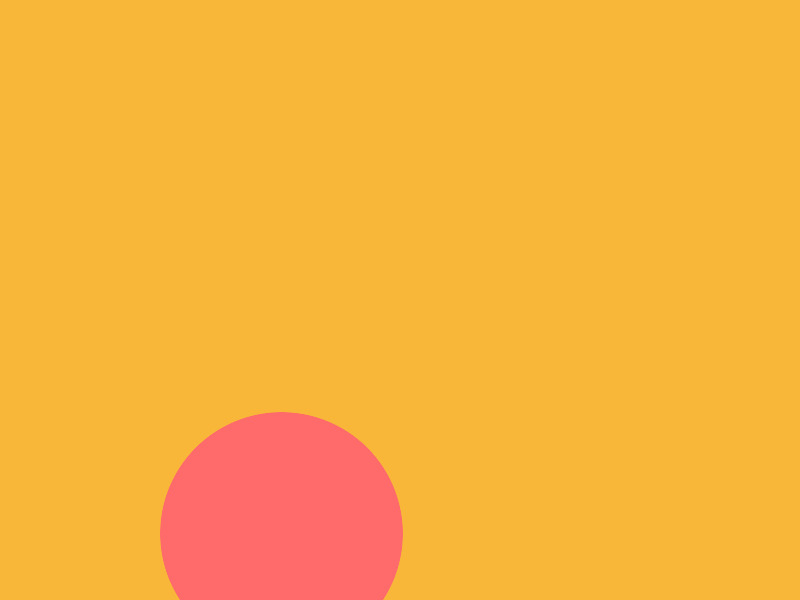 おすすめのペットフードを教えてください【佐賀県】