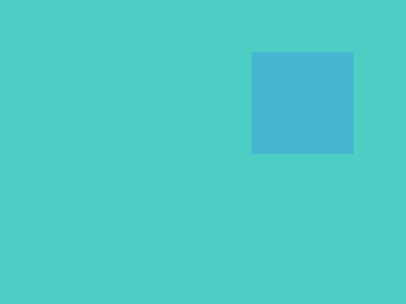 ペットの誕生日の祝い方【京都府】#26