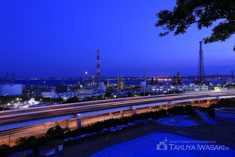 実は犬が怖くて