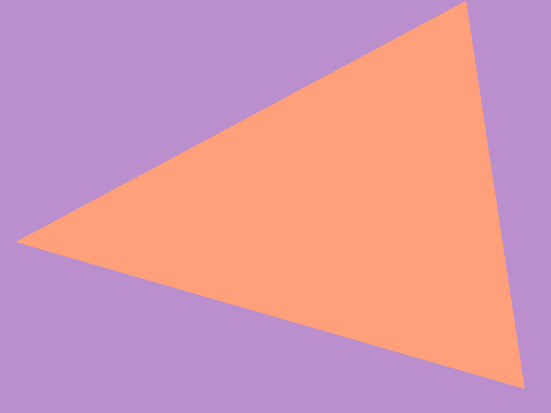 ペットとの暮らしで工夫していること【奈良県】