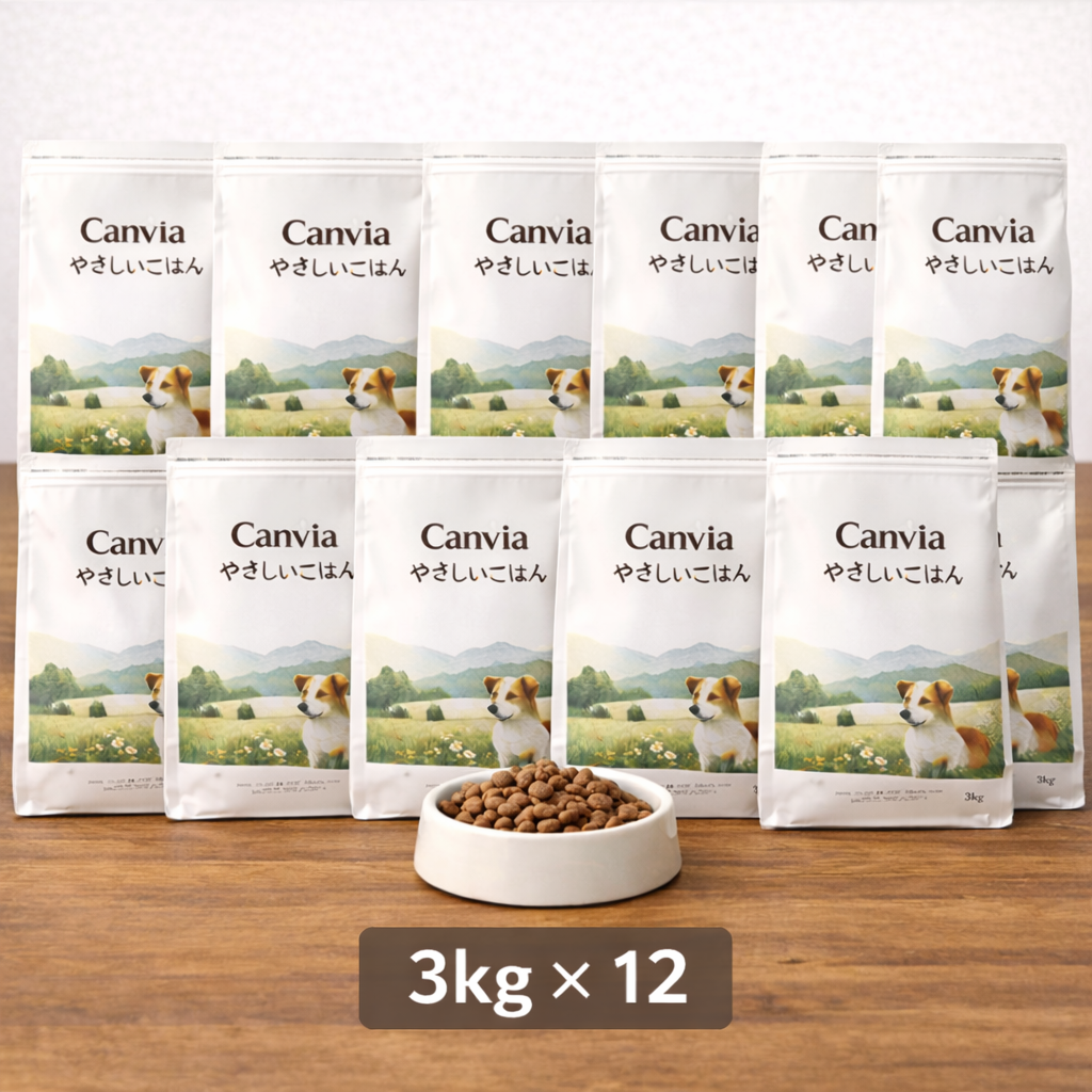 カンヴィア やさしいごはん