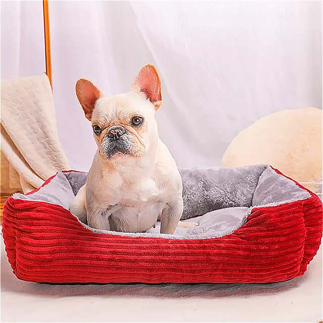 犬用シャンプー 低刺激タイプ！！