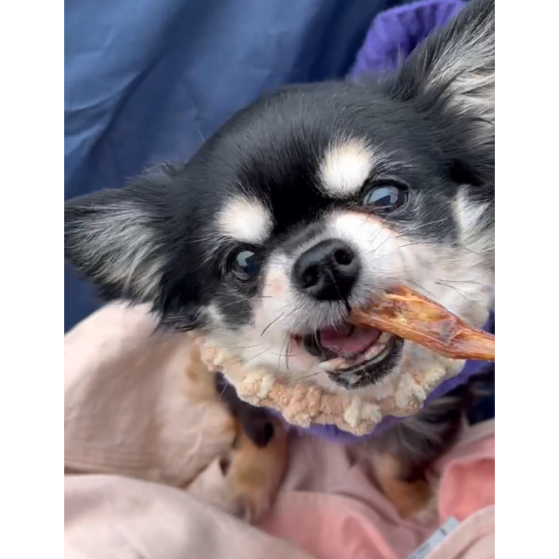 わんのはな 京鴨手羽先