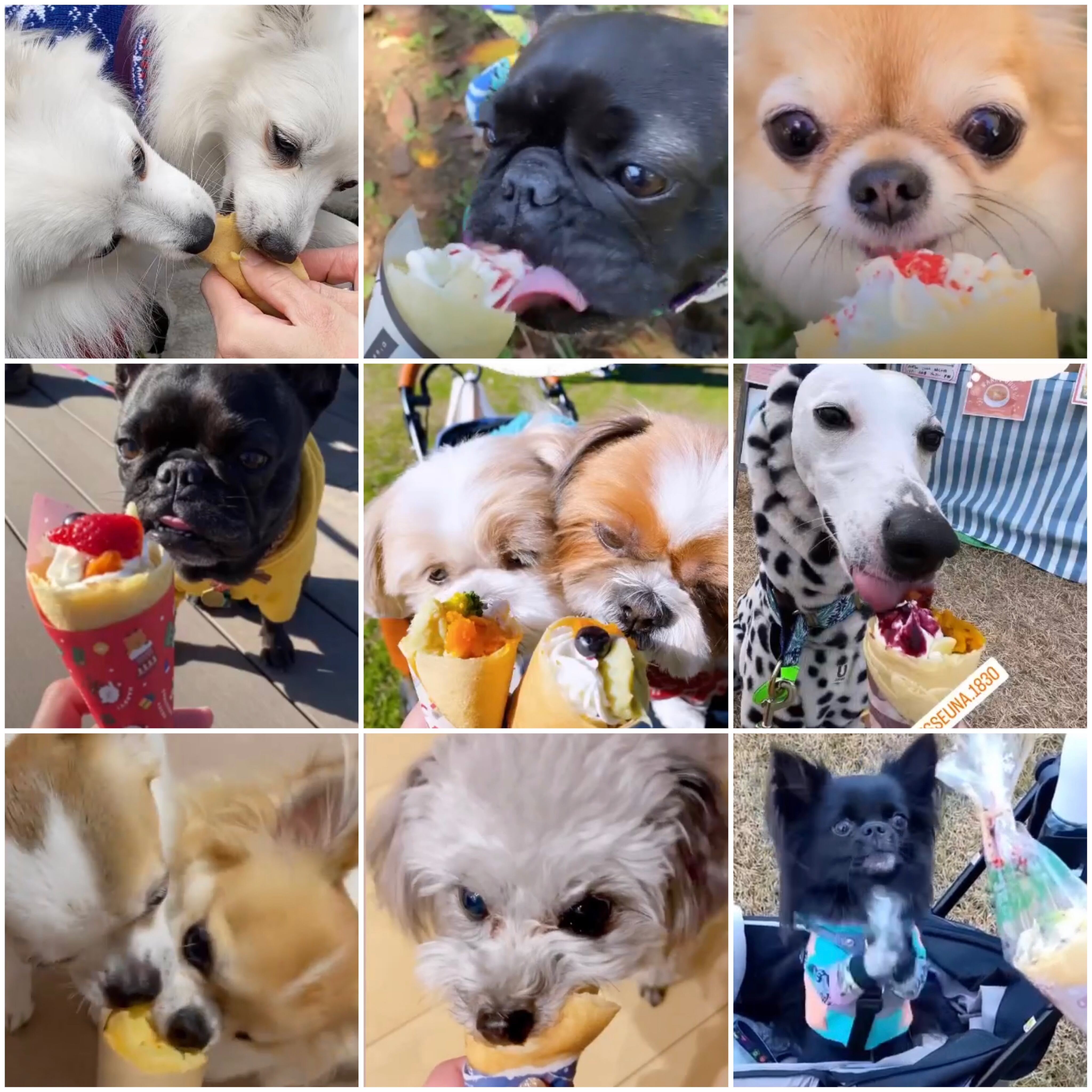 【冷凍】わんこクレープ