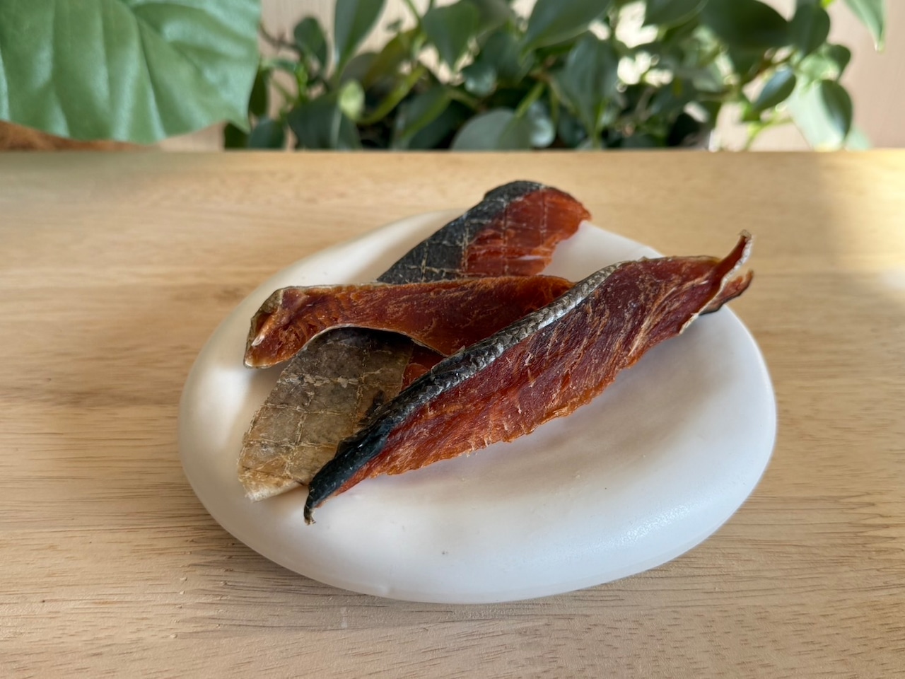 SHAKEジャーキー