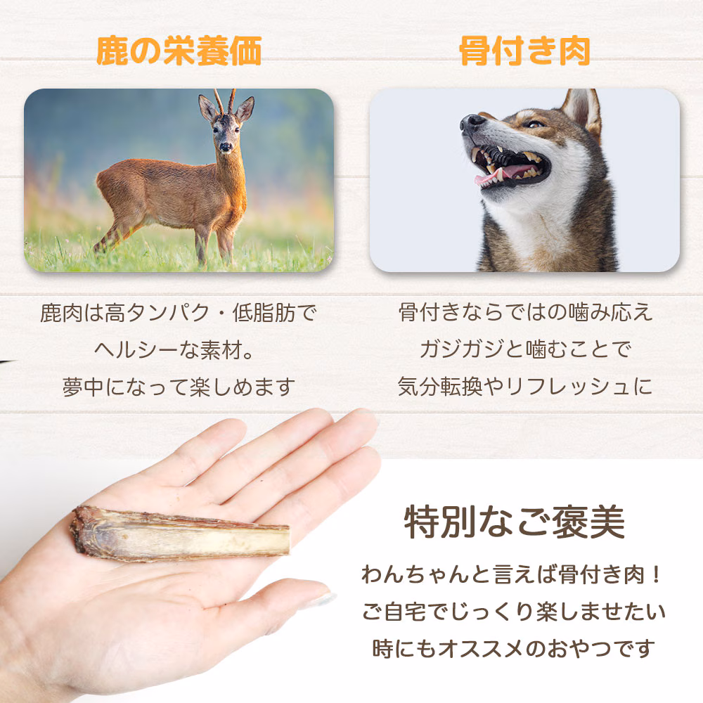 わんのはな 鹿スペアリブショート