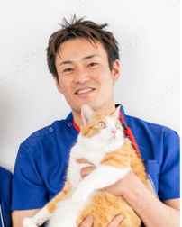 自由エリア画像