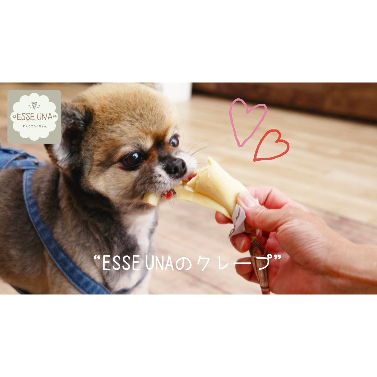 【冷凍】わんこクレープ（さつまいもパンプキンチキン）