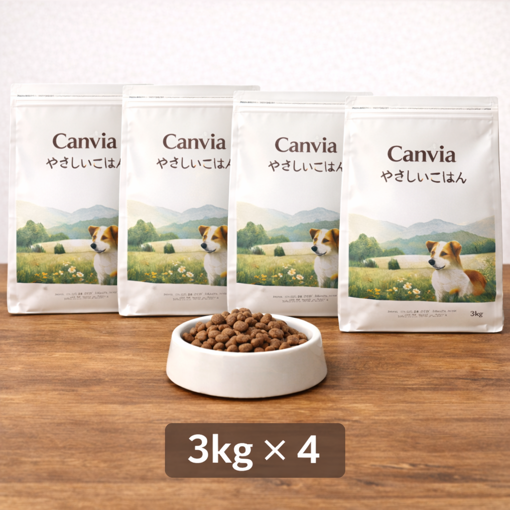 カンヴィア やさしいごはん