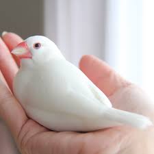 犬用シャンプー 低刺激タイプ！！